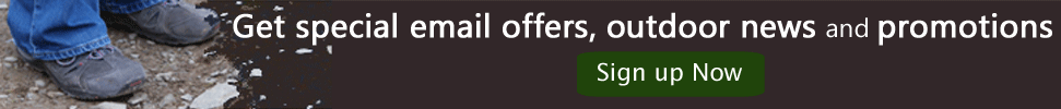 Email sign up
