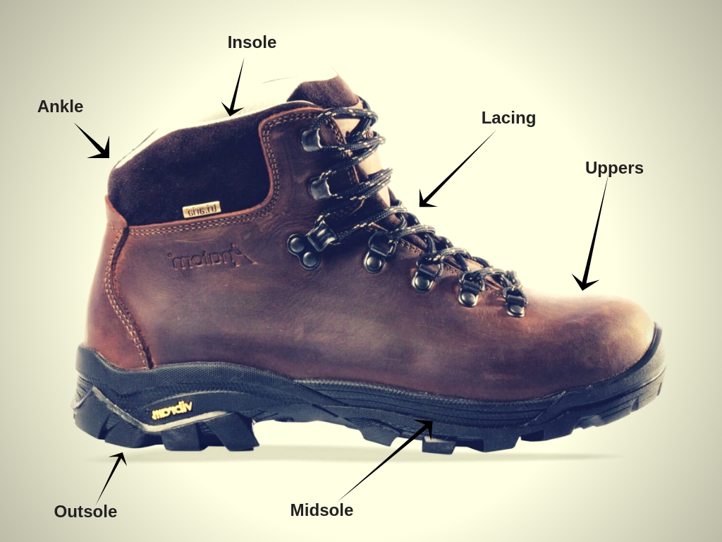 Essential features of dog walking boots for comfort