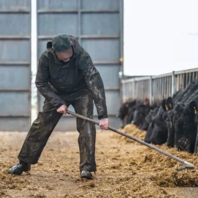 farmer wearing waterproof bib and brace trousers during wet farm work