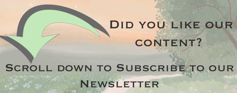 subscribe to our newsletter