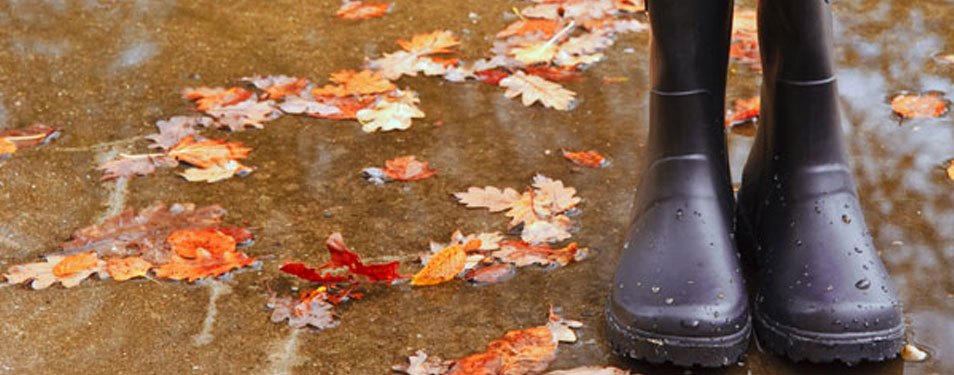 Wellington boots buying guide